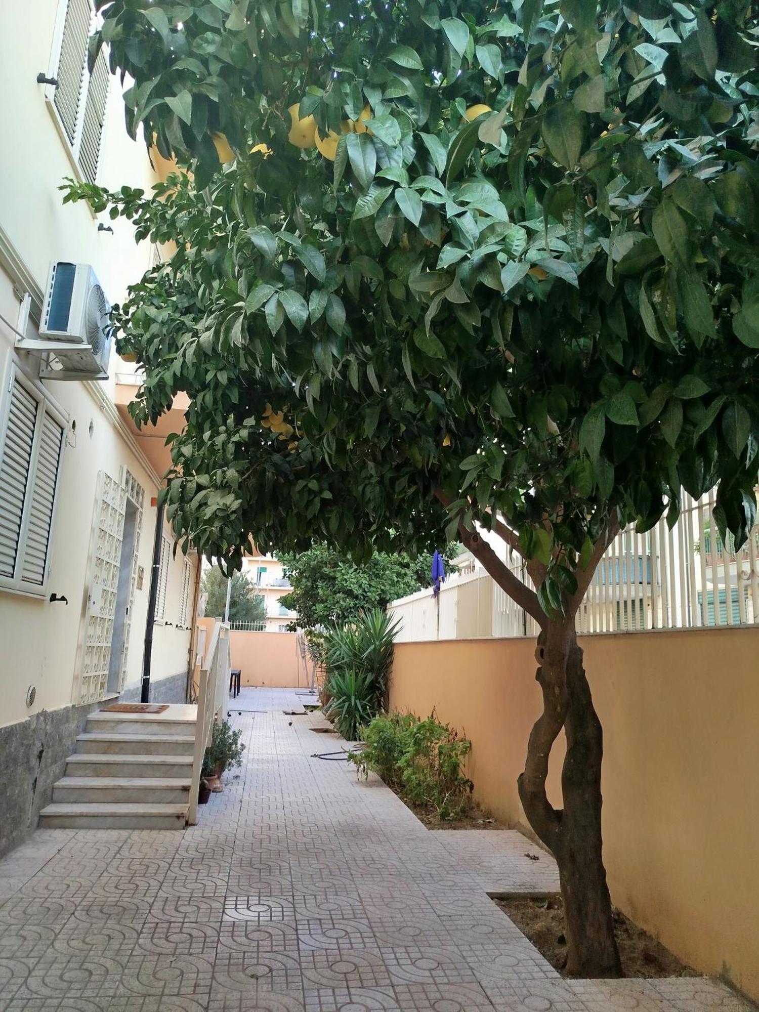 B&B Confort Reggio di Calabria Exteriér fotografie